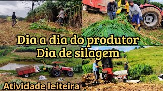 Como fazer uma silagem de Capiaçu de qualidade pecuariadeleite agro roça [upl. by Fabozzi]