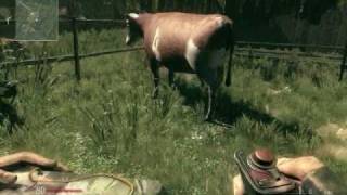 Sniper Ghost Warrior  Cow abuse [upl. by Lirrehs349]