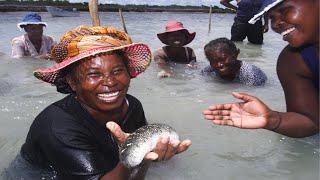 SEA CUCUMBER FARMING [upl. by Maddocks]