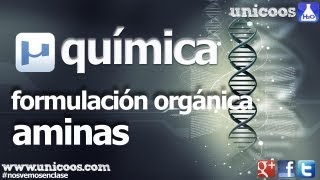 QUIMICA Organica AMINAS BACHILLERATO compuestos nitrogenados [upl. by Healy521]