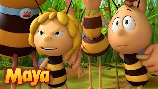 TODAS LAS VECES que Maya ha DEFENDIDO A WILLY 🐝❤️ MEJORES CAPÍTULOS DE MAYA en ESPAÑOL 🐝 [upl. by Arakaj]