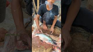 How To Remove Fish Skin  Big Pangas Fish Cutting In Bangladesh 😱 shorts [upl. by Llerrut]