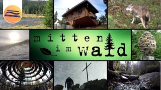 Bayerischer Wald  Urlaub in der Natur  Mitten im Wald [upl. by Llerehc]