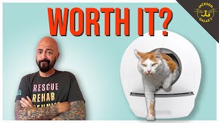 The Truth About Automatic Litter Boxes [upl. by Lerrad]