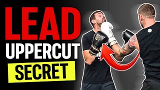 How to Throw Lead Uppercut in Boxing [upl. by Halas]