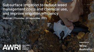 Subsurface irrigation to reduce weed management costs amp chemical use amp improve irrigation efficiency [upl. by Dnalon]