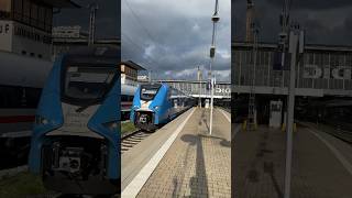 Ein Siemens Mireo Br 463 fährt in München Hbf als RB87 nach Augsburg Hbf aus [upl. by Fernyak844]