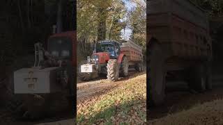 AGRICULTRICE  UN TRACTEUR MASSEY FERGUSON A CHARGE QUI PATINEagricultrice agriculture [upl. by Rosemarie175]