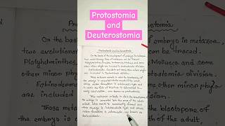 protostomia and deuterostomia zoology biology shortsfeed shorts ytshorts [upl. by Irovi927]