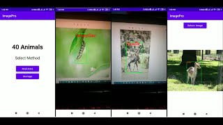 Custom Object Detection Android App  40 Animals  TensorFlow LiteGPU and OpenCV Sample 2 [upl. by Atiuqa]
