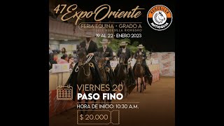 FERIA EQUINA GRADO quotAquot 47 EXPO ORIENTE RÍO NEGRO 2023DIA 2 ASNALES MULARES PASO FINO COLOMBIANO [upl. by Erlond786]