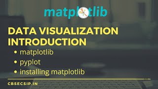 Data Visualization  Introduction  Class 12 Informatics Practices [upl. by Eerol]