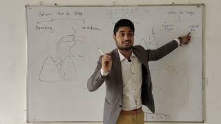 Respiration for Medical and bs students  types of respiration  Breathing ventilation  by Dr Aqib [upl. by Leta489]