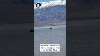 Kayakers Take Advantage of Temporary Death Valley Lake [upl. by Luanni]