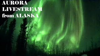 LIVE Alaska Aurora Live Stream May 34 2024 [upl. by Hollerman651]