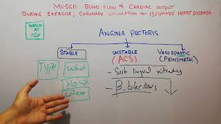 CVS physiology 211  Angina pectoris  Stable vs unstable angina  Vasospastic or Prinzmetal angina [upl. by Clarkin649]