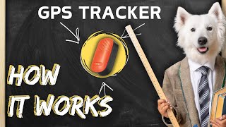 Pet tag tracker  Dog tracker  Pet safety  How it Works Captain India ​⁠ [upl. by Alset]