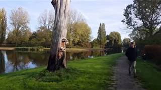 Walking tour of Lelystad Bultpark  Netherlands 【4K】 [upl. by Ahsyak]