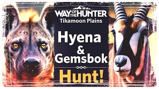 HYENA and GEMSBOK bow hunting  WAY OF THE HUNTER [upl. by Basia]