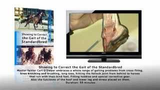 Shoeing to Correct the Gait of the Standardbred [upl. by Redlac]