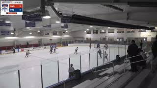 USA Hockey Nationals 2024 [upl. by Lanevuj202]