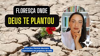 Floresça onde Deus te plantou [upl. by Enniroc]