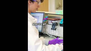 Agarose Gel Electrophoresis👍👍 [upl. by Aurilia576]