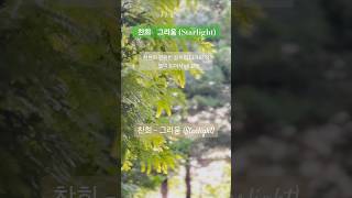 찬희  그리움 Starlight 여신강림 OST  찬희CHA NI SF9 찬희 그리움 Starlight 여신강림OST 찬희SF9 CHANI shorts [upl. by Enenaj866]