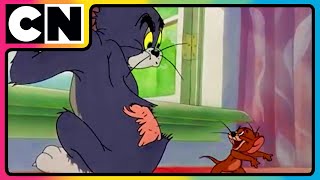 Tom amp Jerry 😺🐭  An Ode to Chaos  Nonstop Masti 🤩 Funny Chases 😆 Only on Cartoon Network [upl. by Rudman325]