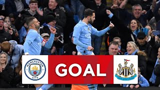 GOAL  Bernardo Silva  Manchester City 10 Newcastle United  Quarterfinal  Emirates FA Cup 2023 [upl. by Enaud147]