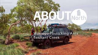 Tennant Creek Warrego Fossicking Area 4WD [upl. by Irahc]