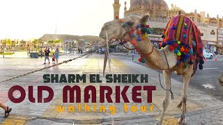 Sharm El Sheikh Egypt [upl. by Bradman484]