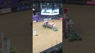 Locomotion 🌟  horses horseoftheyearshow hoys [upl. by Duwalt]