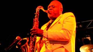 Big Jay McNeely at the Narooma Blues Festival 2008 [upl. by Hillier911]