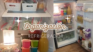 Organización de refrigerador pequeño así organizo y ordeno mi pequeño refrigerador kitchen [upl. by Quartas]