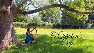 Celtic Harp  OCarolans Cup [upl. by Ignatia]