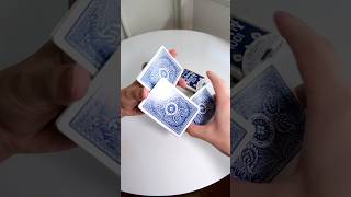 トランプシャッフルの一人称視点 カーディストリー マジック cardtrick cardistry [upl. by Annaed534]