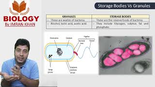 Inclusions in Bacteria Storage Bodies Granules [upl. by Dalury26]