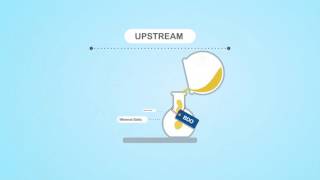 MaterBiotech the production process of biobutanediol 14 BDO [upl. by Ranzini]