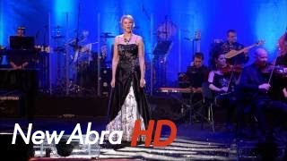 Waldemar Malicki amp Filharmonia Dowcipu  Operowe hity HD [upl. by Fraze10]