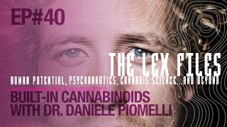 Anandamide PEA amp Your Body’s BuiltIn Cannabinoids with Dr Daniele Piomelli  The Lex Files [upl. by Aztin]