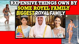 12 Ridiculously Expensive Things Owned By Worlds top Royals Family [upl. by Ttirb]