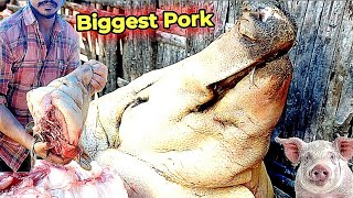 Biggest Pig Meat  PORK CURRY  SPICY PORK CURRY  TASTY VILLAGE PORK MEAT  PORK CUTTING SKILLS [upl. by Swayne]