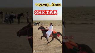 CHETAK horse kutchhorserace horseracing horseriding trending kutch viralvideo viralshort [upl. by Oicirbaf478]