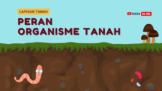 PERAN ORGANISME TANAH  TANAH DAN KEBELANGSUNGAN KEHIDUPAN [upl. by Refinnej]