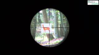 Vortex Crossfire II 618x44 reticle VBrite  Reticle Subtensions [upl. by Lieberman]