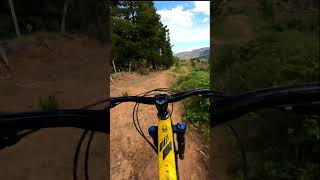 Flow line Acequias Light angol mtb downhill [upl. by Asiil]