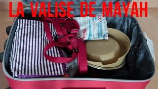 Je fais la valise de mon chien [upl. by Trovillion351]