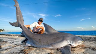 REVENGE on GIANT Bull Shark Catch Clean Cook [upl. by Nelleus]