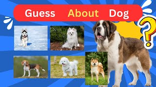 You dont Know this about your Dog Breed  Can you Guess  Quiz Challenge [upl. by Eittam269]